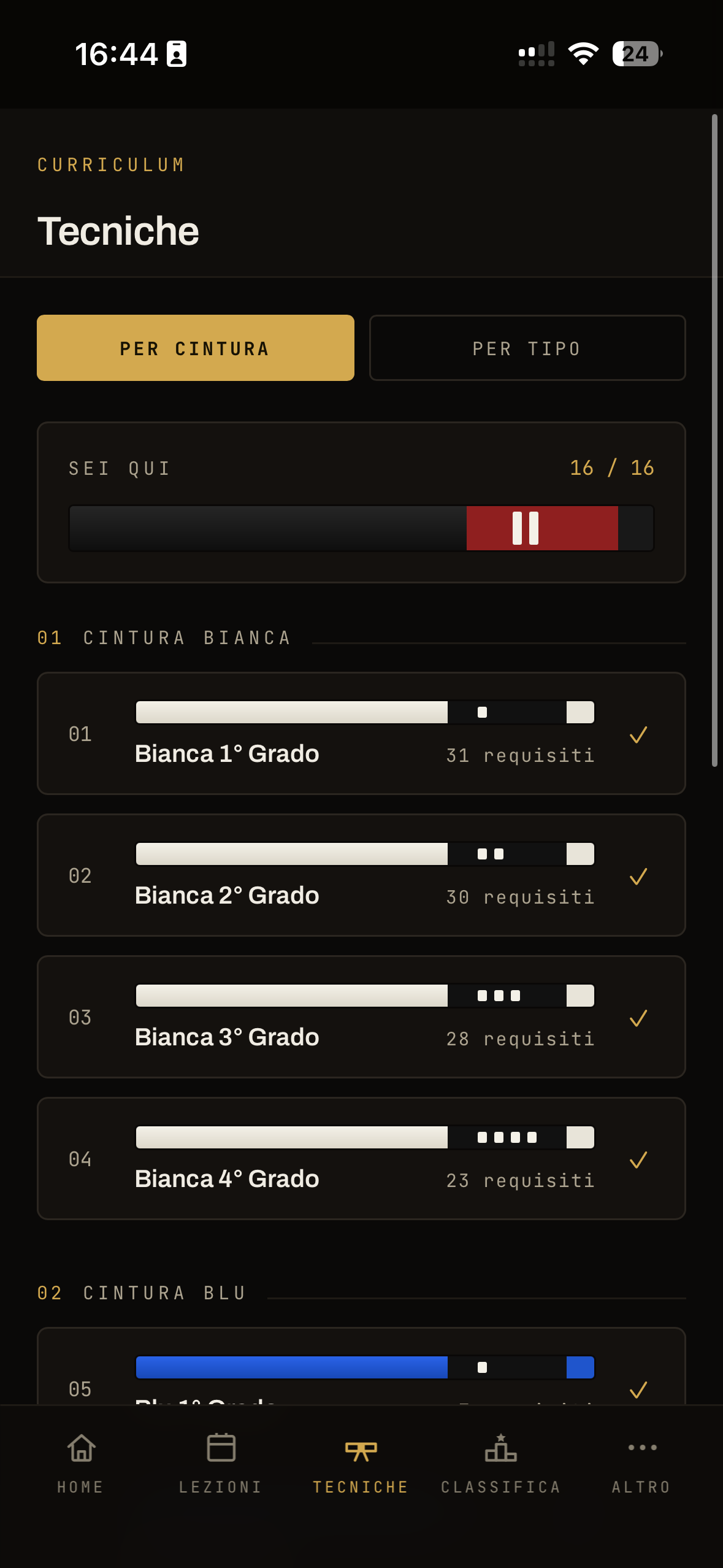 Schermata Tecniche dell'app: curriculum per cintura con il progresso di ogni grado